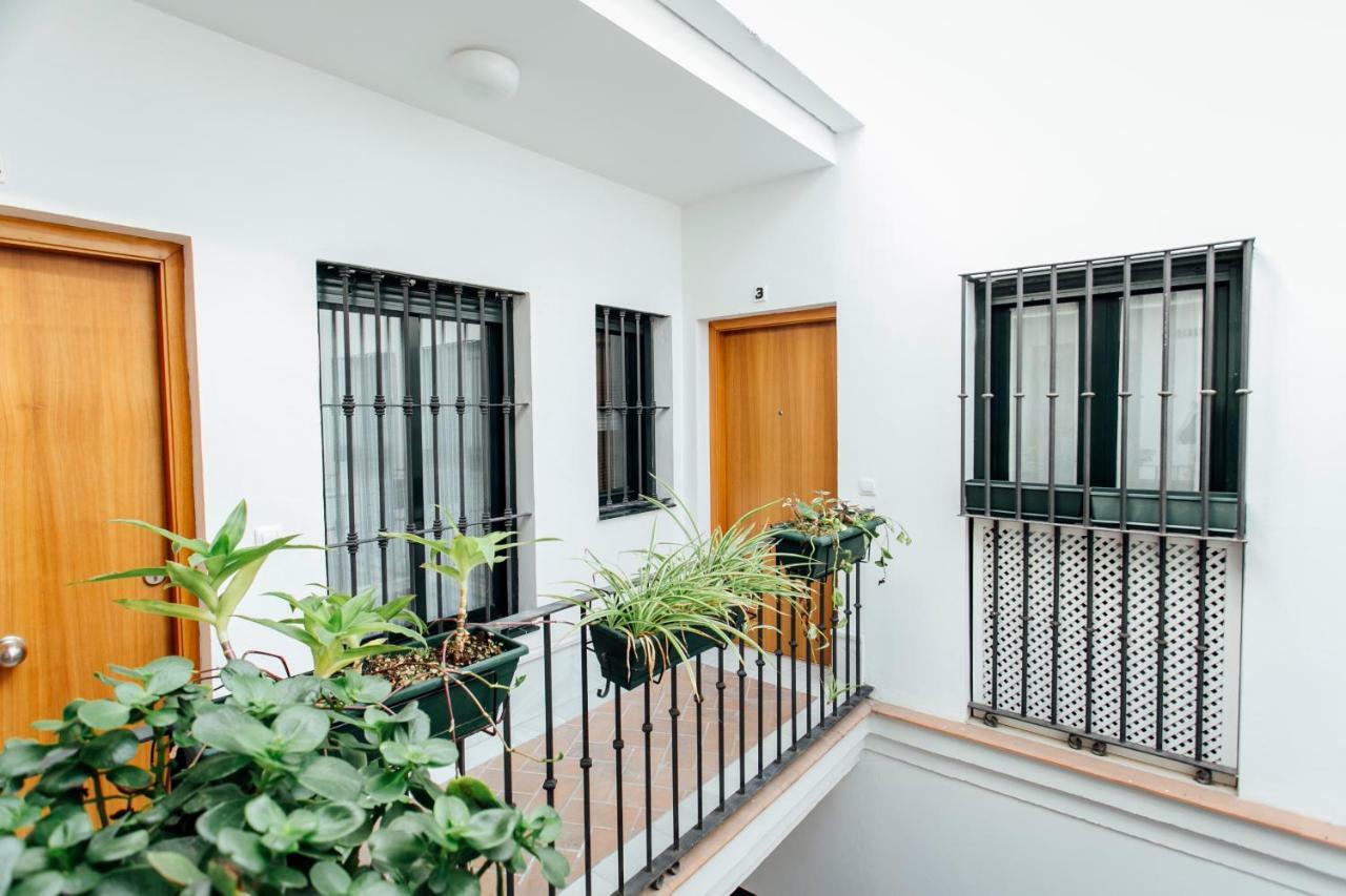 Bright Duplex W/ Terrace Lejlighed Sevilla Eksteriør billede